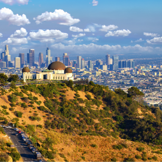 L.A. 2026 World Cup: Interesting Facts That Fans Need to Know Before Visiting